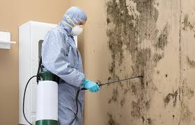 Best Mold Odor Removal Services  in Ruch, OR